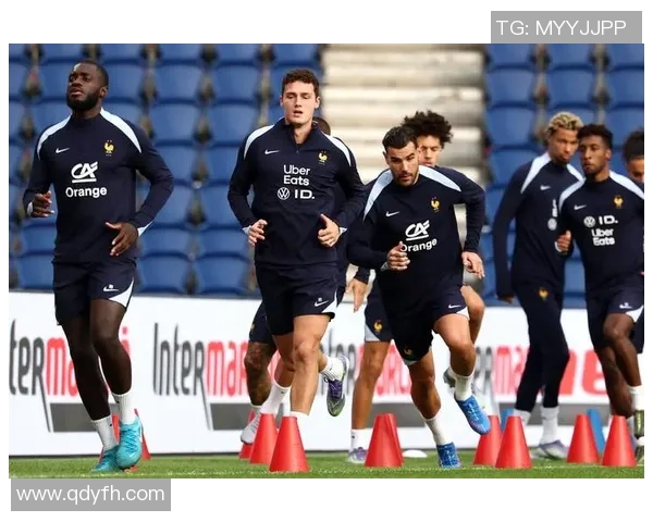 法国足球明星汇总及其辉煌成就与影响力分析