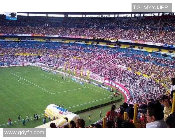 足球明星斯恩卡的传奇旅程与辉煌成就全景回顾