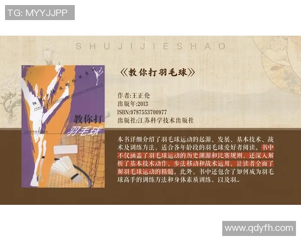 南京羽毛球队独特控制打法深度解析与战术运用探讨